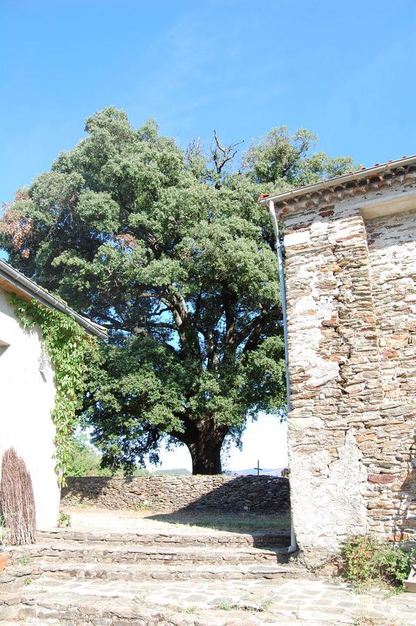 La Vallee De Gaia Bed & Breakfast Saint-Hilaire-de-Lavit Exterior foto